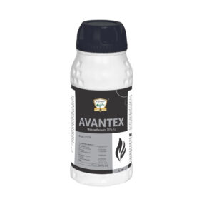AVANTEX